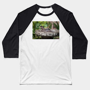 Blackbird bathing Baseball T-Shirt